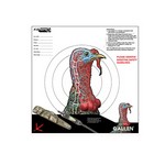 Allen Company 1522 EZ Aim Targets (12