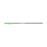 Allen Company 93022 Nexus Crossbow Bolt (22