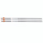 Allen Company 93631 Pro Series 400 Carbon Arrow (31