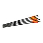Barnett Crossbows 16075 Crossbow Arrows 20