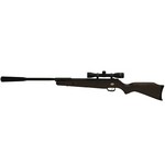 Beeman 2016 Quiet Tek Gas Ram Dual Caliber Air Rifle Combo with Wood Stock 