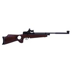 Beeman AR2078-177 SAG CO2 Air Rifle .177 Caliber with Thumbhole Stock