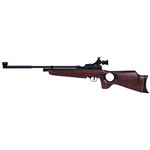 Beeman AR2078-22 SAG CO2 Air Rifle .22 Caliber with Thumbhole Stock