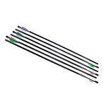 Benjamin Sheridan AB6PKA Airbow 250 Arrows 26
