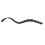 Berkley 1092962 Gulp! Nightcrawler Soft Bait 6
