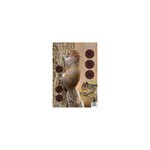 Birchwood Casey 35406 Pregame Targets Squirrel 12