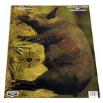 Birchwood Casey 35408 Pregame Targets Boar, 16.5