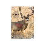 Birchwood Casey 35412 Pregame Targets Mule Deer, 16.5