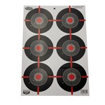 Birchwood Casey 35705 Dirty Bird Paper Targets 12