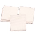 Birchwood Casey 41164 Gun Cleaning Patches 1 3/4