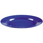 Coleman 2000016420 Plate Enamel 10