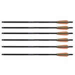 Crosman AXCCA206PK Crossbow Arrows 20