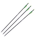 Crosman AY3PKA Youth Fiberglass Arrows (Per 3) 