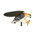 Mojo Decoys HW4310 MOJO Hawk 