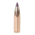 Nosler 24095 6mm Bullets Ballistic Tip Hunting, 95 Grains, Spitzer, Per 50