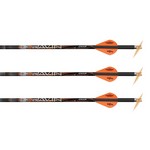 Ravin Crossbows R133 Carbon Crossbow Bolt Match Weight Lighted, 400 Grains, .003 Straightness, Package of 3