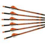 Ravin Crossbows R138 Carbon Crossbow Bolt 20