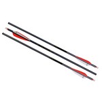 TenPoint Crossbow Technologies HEA-038.3 Omni-Brite 2.0 Lighted 20