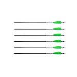 TenPoint Crossbow Technologies HEA-730.6 EVO-X Center Punch 20