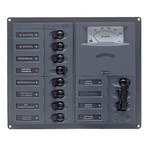 BEP AC Circuit Breaker Panel w/Analog Meters, 8SP 2DP AC230V Stainless Steel Vertical