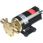 Johnson Pump Ultra Ballast Pump w/1