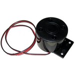 Raymarine Auxillary Alarm