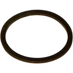 Scepter Replacement Fuel Tank Gasket