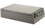 Bulldog Cases Quick Vault, Safe, 11.4