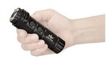 PS Products ZAP Light Mini, Stun Gun, Black, 800,000 Volts, Flashlight ZAPLM