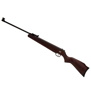 Beeman 10512GP Teton Gas Ram Air Rifle Package .22 Caliber with 4x32mm Scope