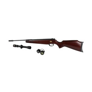 Beeman 1064 Ram Air Rifle .22 Caliber with 3-9x32mm Scope 