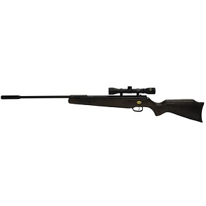 Beeman 10644 Ram Deluxe Air Rifle Package .22 Caliber with 4x32mm Scope
