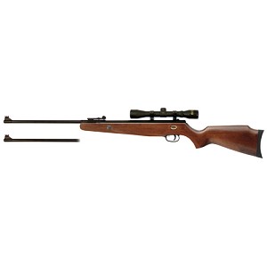 Beeman 1073GP Grizzly X2 Gas Ram Break Barrel .177/.22 Caliber,  Hardwood Stock, 4x32 Scope 