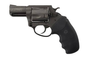 Charter Arms CHARTER PITBULL 40SW NIT 2 FS 64020