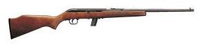 Savage Arms 22LR SEMI-AUTO 10SH W/SIGHT 30000